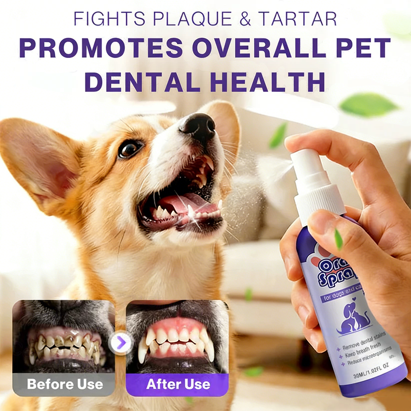Vakkav™ Pet Oral Spray ✅Freshen Breath, Remove Tartar & Promote gum regeneration, stabilize teeth 🦷🦷