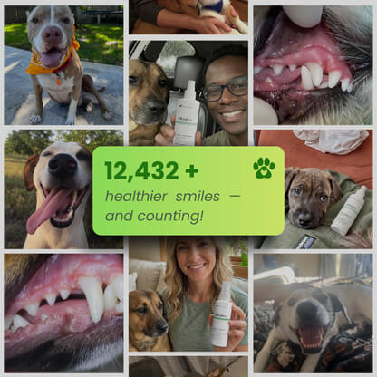 Zussuz™ Advanced Dental Spray
