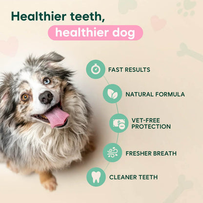 Zussuz™ Advanced Dental Spray