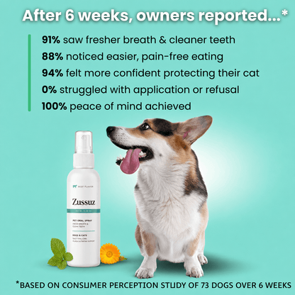 Zussuz™ Advanced Dental Spray